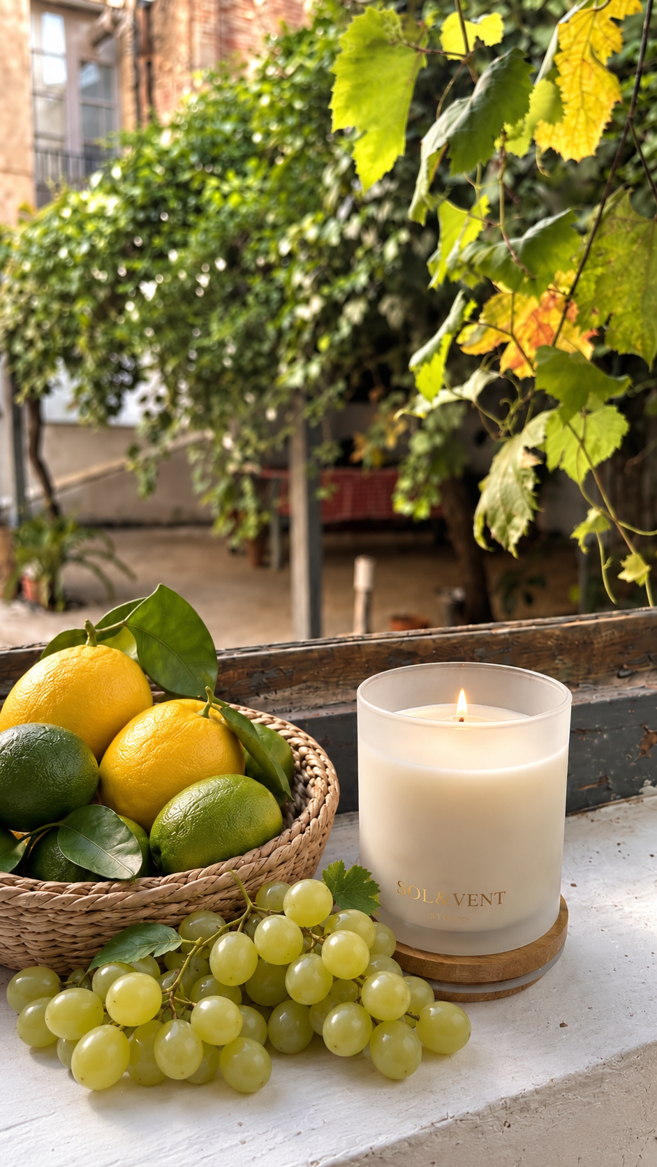 Vela perfumada Burbujas de Cava de Sol&Vent encendida bajo una parra, junto a uvas blancas y cítricos