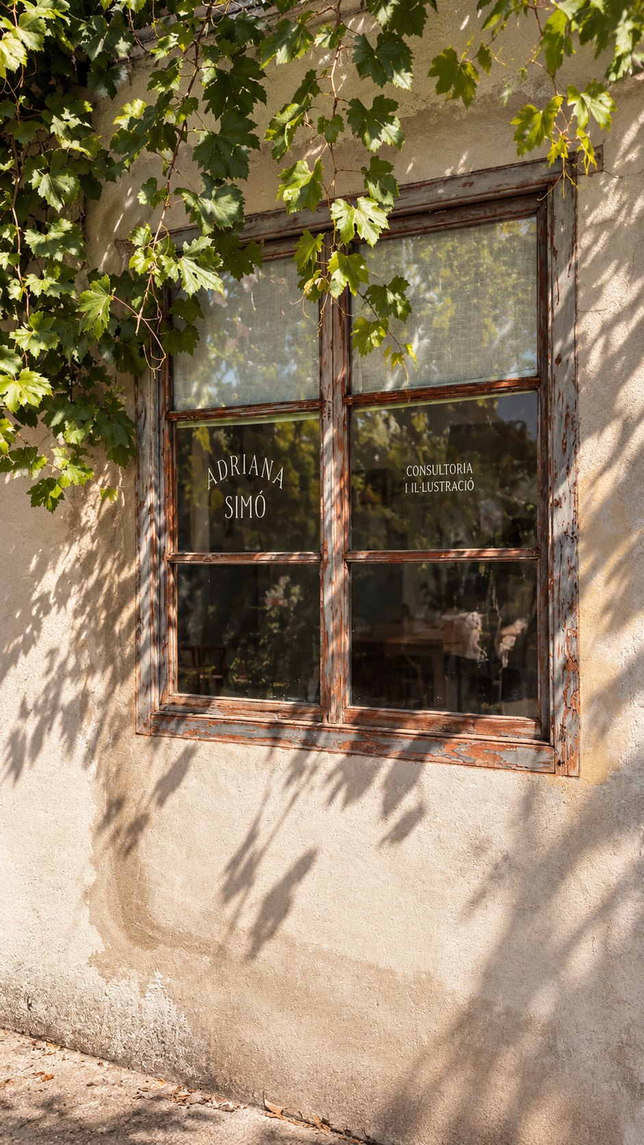 Ventana del estudio de Ariadna Simó en Terrassa, con parra y luz de tarde, donde se celebran los talleres de Sol&Vent