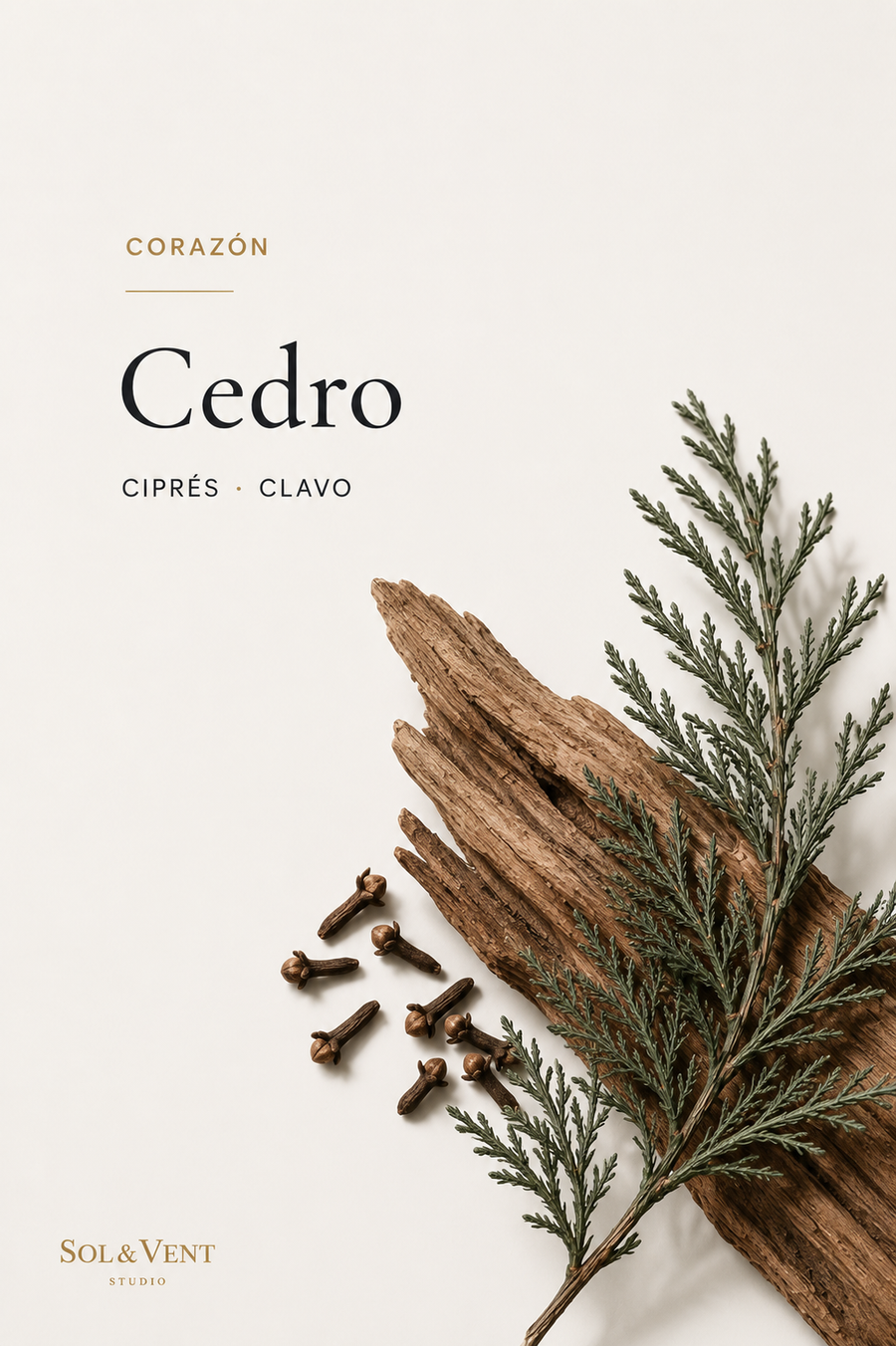 Madera de cedro con ramas de ciprés y clavo, nota de corazón de la fragancia Refugio de Montaña de Sol&Vent