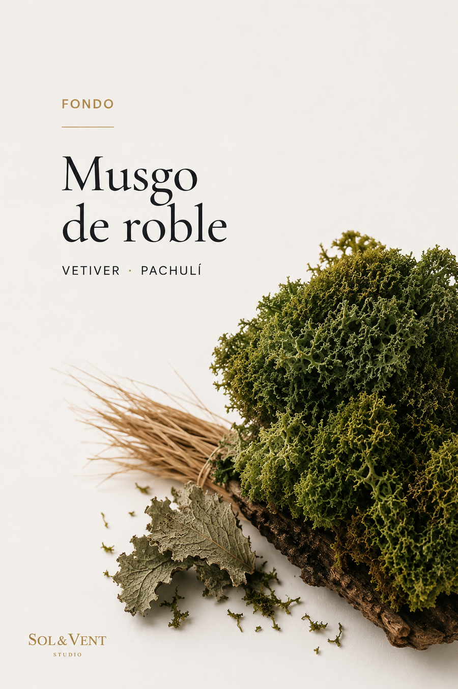 Musgo de roble con vetiver, nota de fondo de la fragancia Refugio de Montaña de Sol&Vent