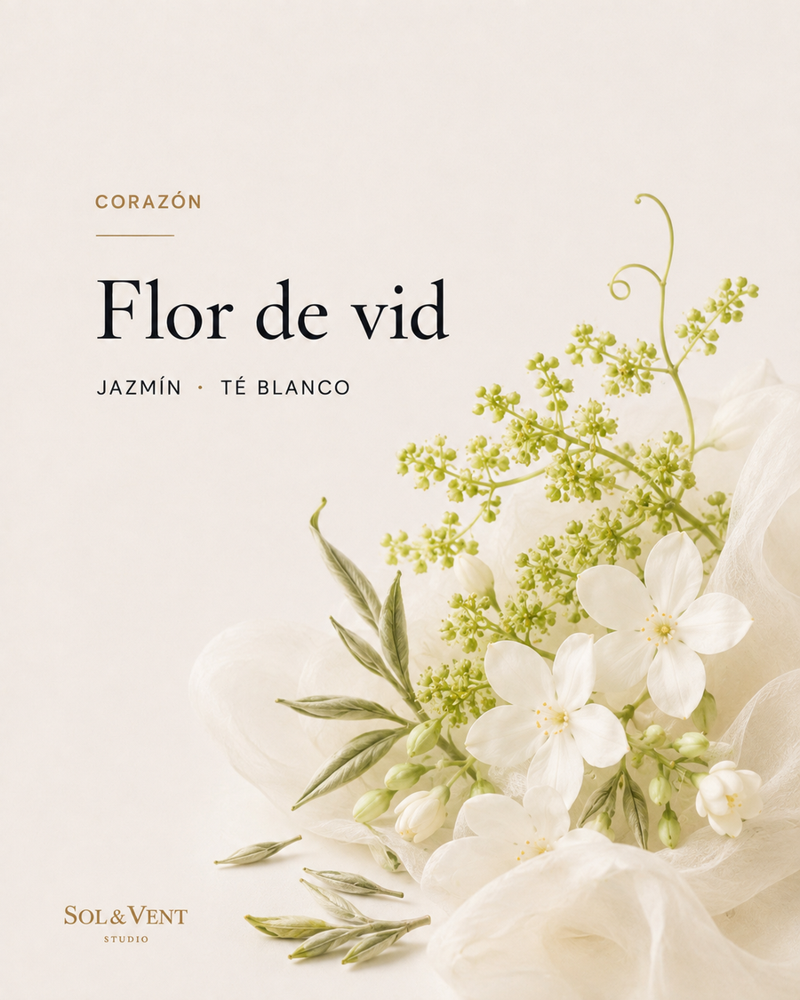 Flor de vid con jazmín y té blanco, nota de corazón de la fragancia Burbujas de Cava de Sol&Vent