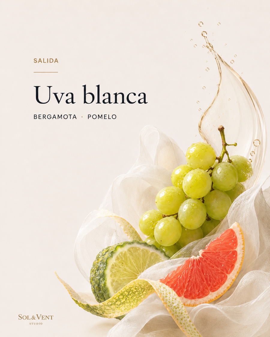 Racimo de uva blanca con pómelo y bergamota, nota de salida de la fragancia Burbujas de Cava de Sol&Vent