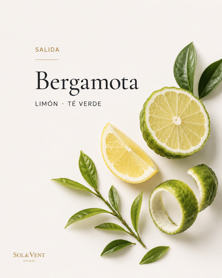 Bergamota y limón cortados con hojas de té verde, nota de salida de la fragancia Luz Interior de Sol&Vent